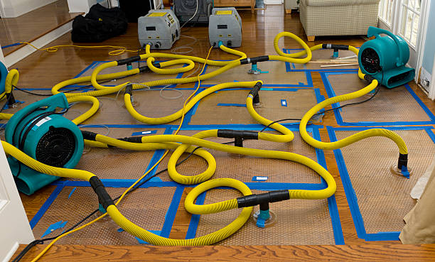 Professional Structural Drying And Dehumidification technician working in Durand, WI